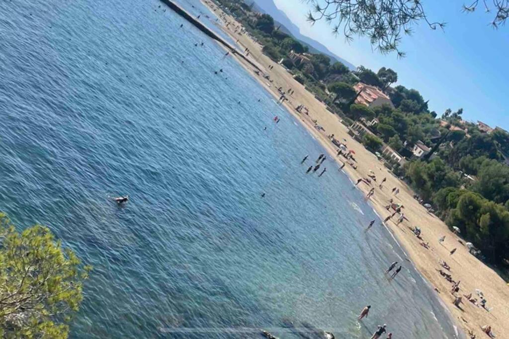 Studio Cosy Residence Odalys 3 Etoiles La Londe-les-Maures Dış mekan fotoğraf